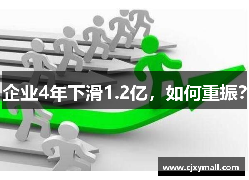 企业4年下滑1.2亿，如何重振？